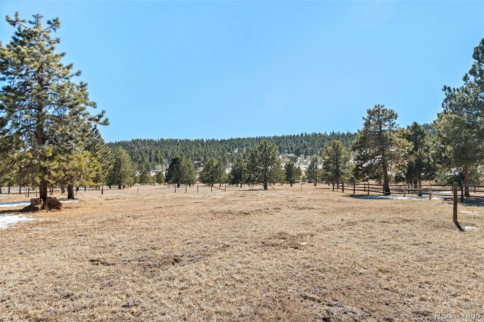 MLS Image #6 for 470  homestead road,bailey, Colorado