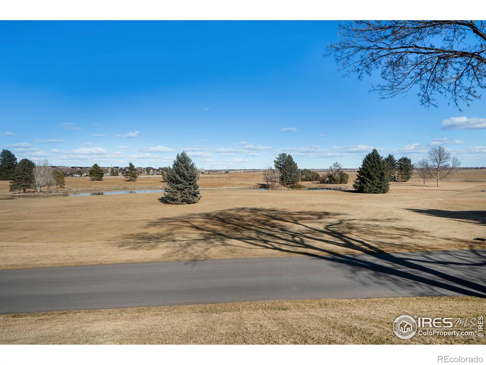 MLS Image #20 for 1932  adriel court,fort collins, Colorado