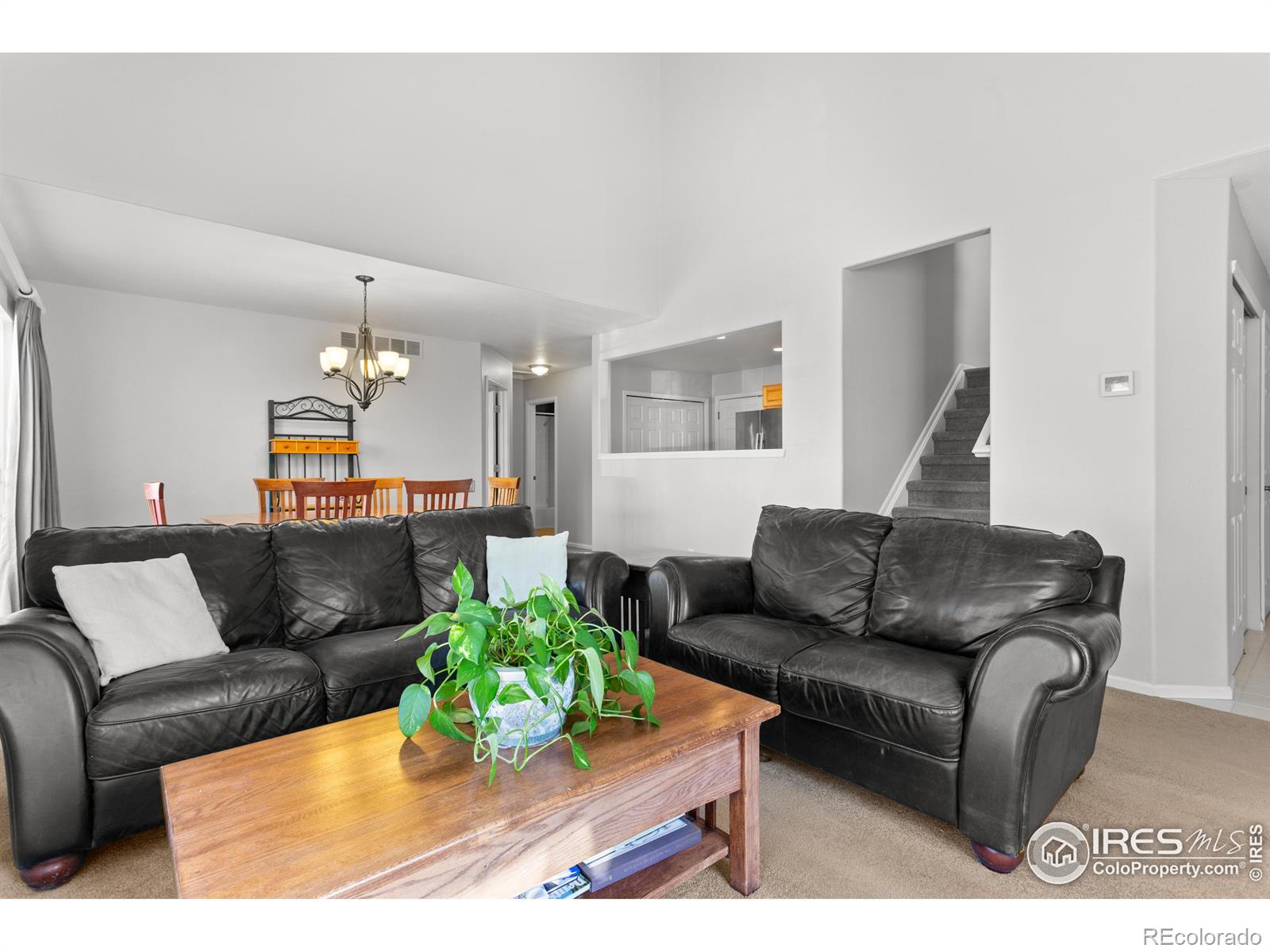 MLS Image #6 for 2133  copper creek drive,fort collins, Colorado