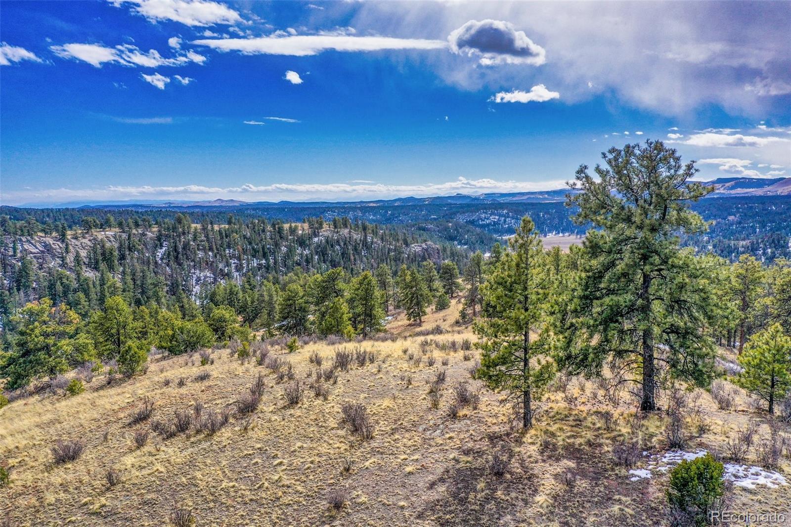 MLS Image #43 for 1985  timber mesa ,florissant, Colorado