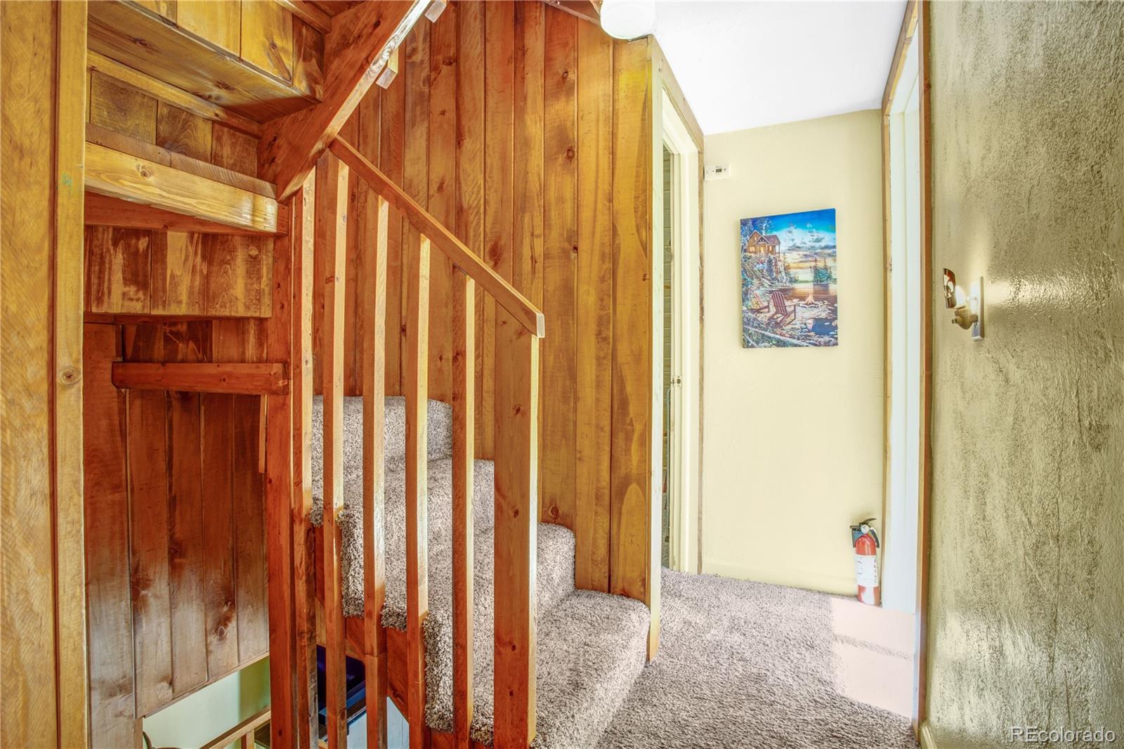 MLS Image #14 for 22600  martin street,salida, Colorado