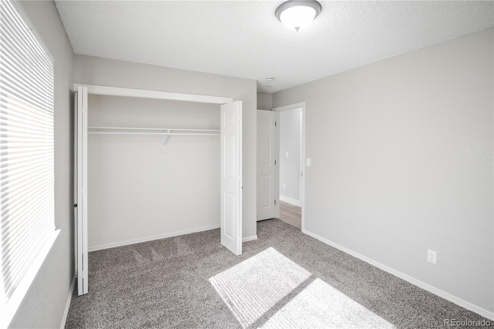 MLS Image #14 for 441  elbert way,denver, Colorado