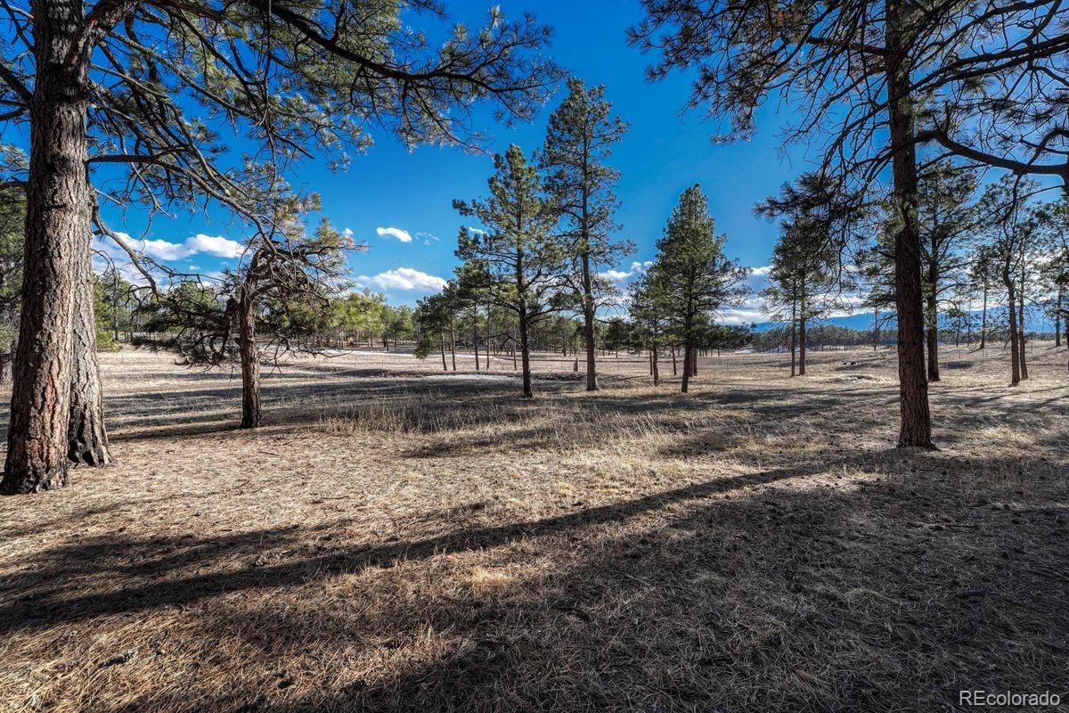 MLS Image #39 for 7570  pinery circle,colorado springs, Colorado