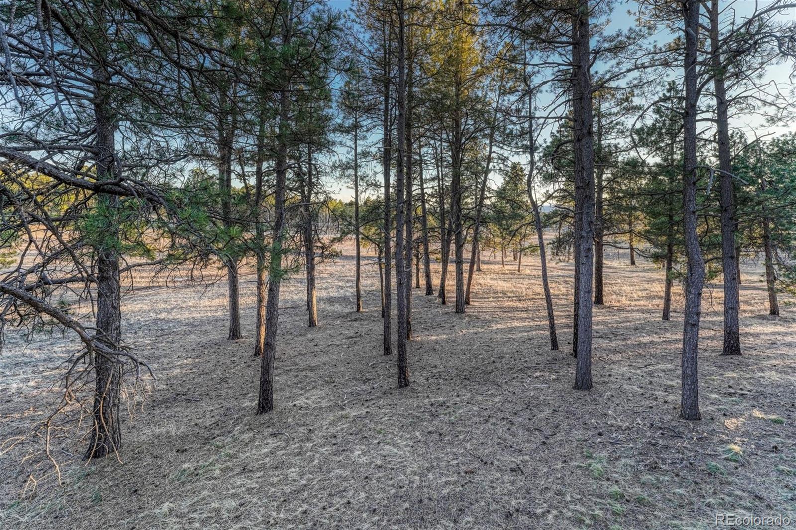 MLS Image #41 for 7570  pinery circle,colorado springs, Colorado