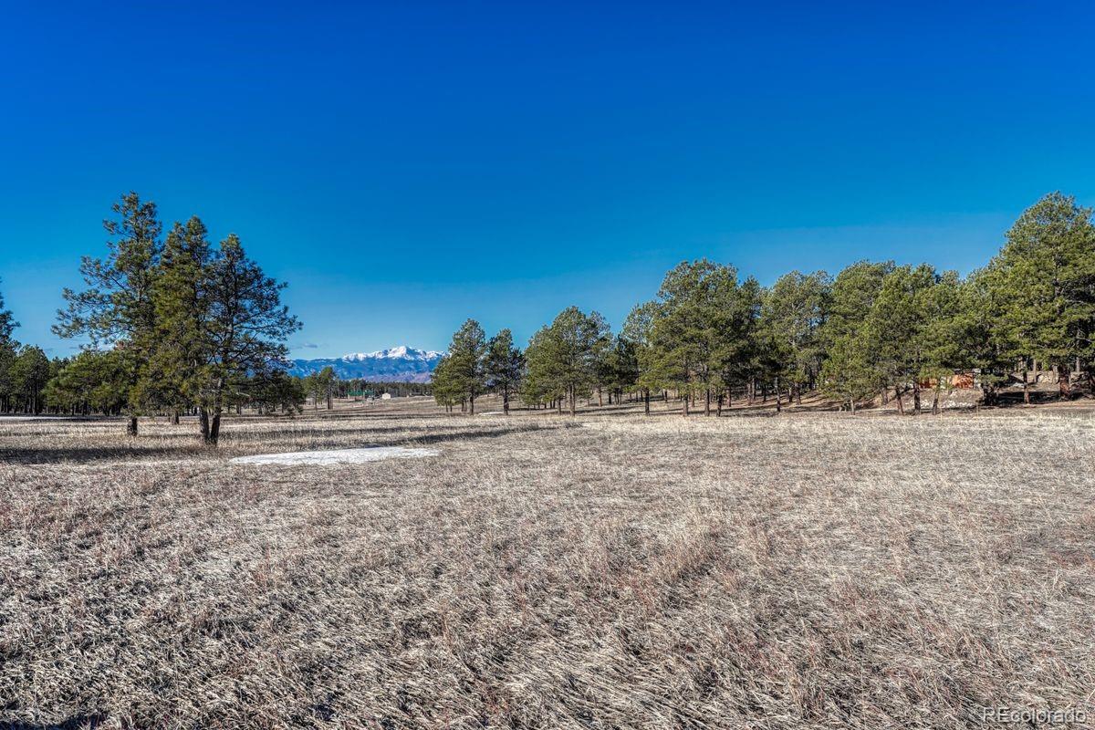 MLS Image #5 for 7570  pinery circle,colorado springs, Colorado