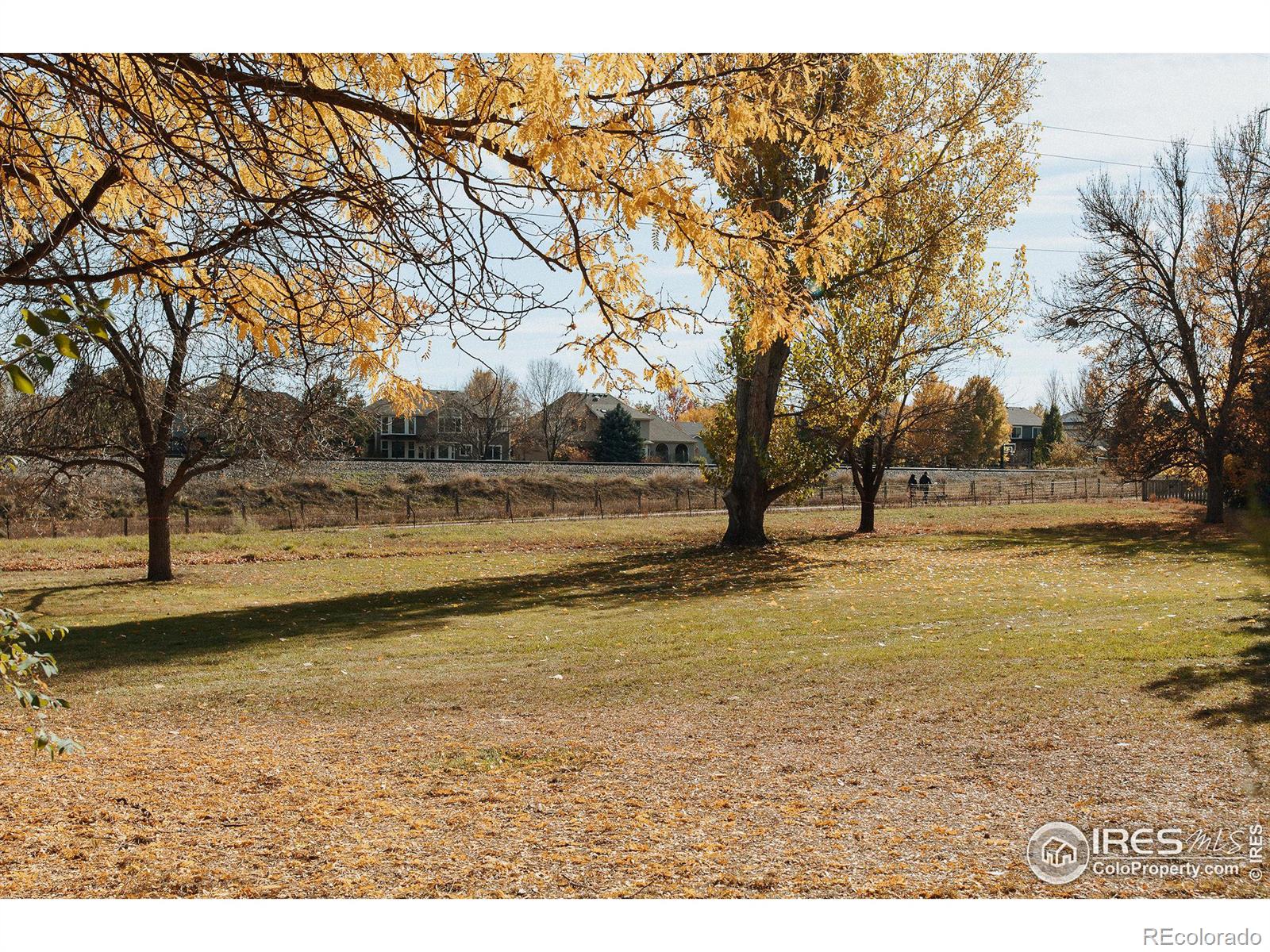 MLS Image #31 for 5300  elderberry court,fort collins, Colorado