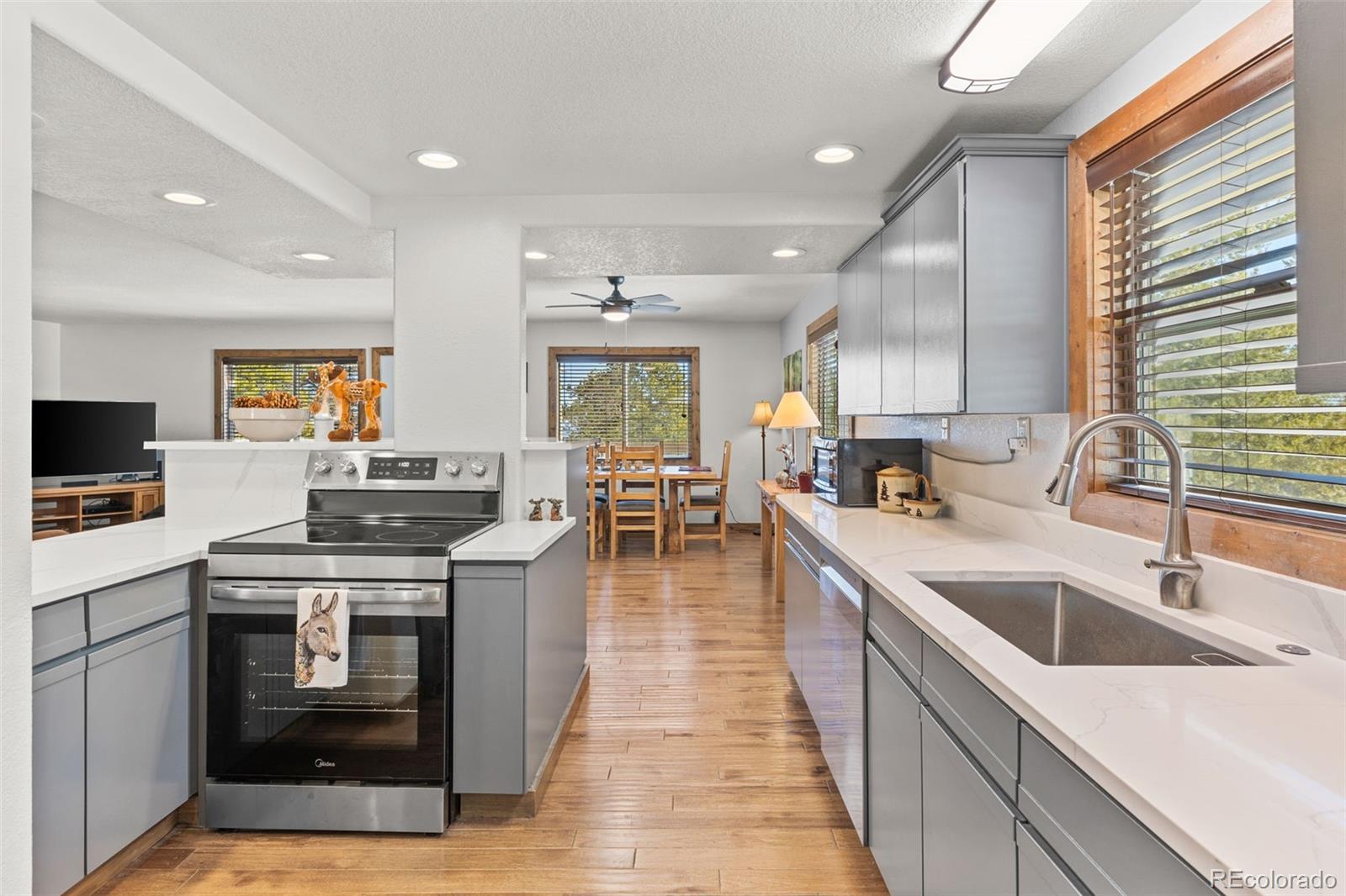 MLS Image #0 for 1606  bobcat lane,fairplay, Colorado