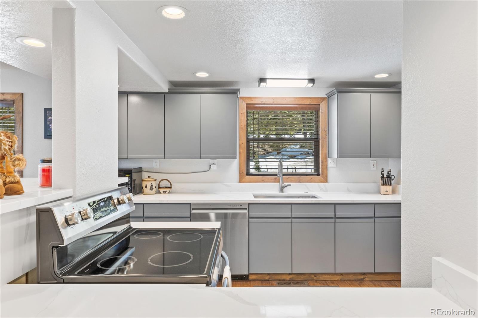 MLS Image #1 for 1606  bobcat lane,fairplay, Colorado