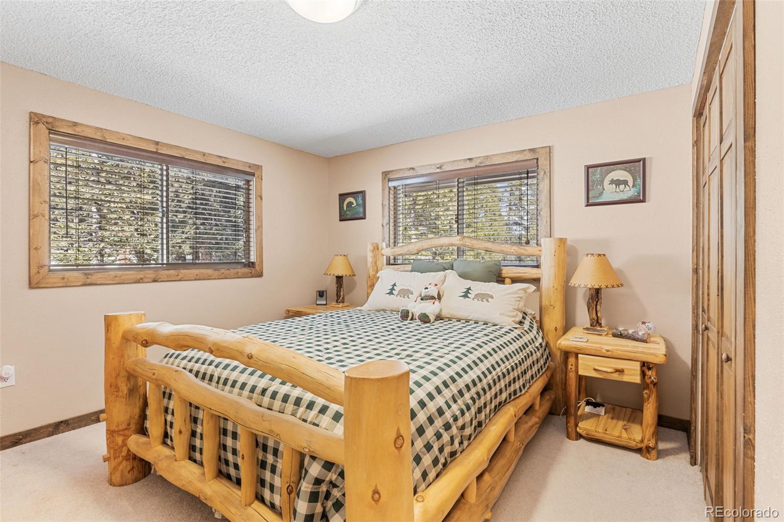 MLS Image #10 for 1606  bobcat lane,fairplay, Colorado