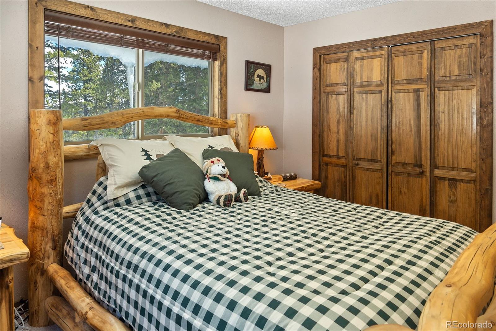 MLS Image #11 for 1606  bobcat lane,fairplay, Colorado