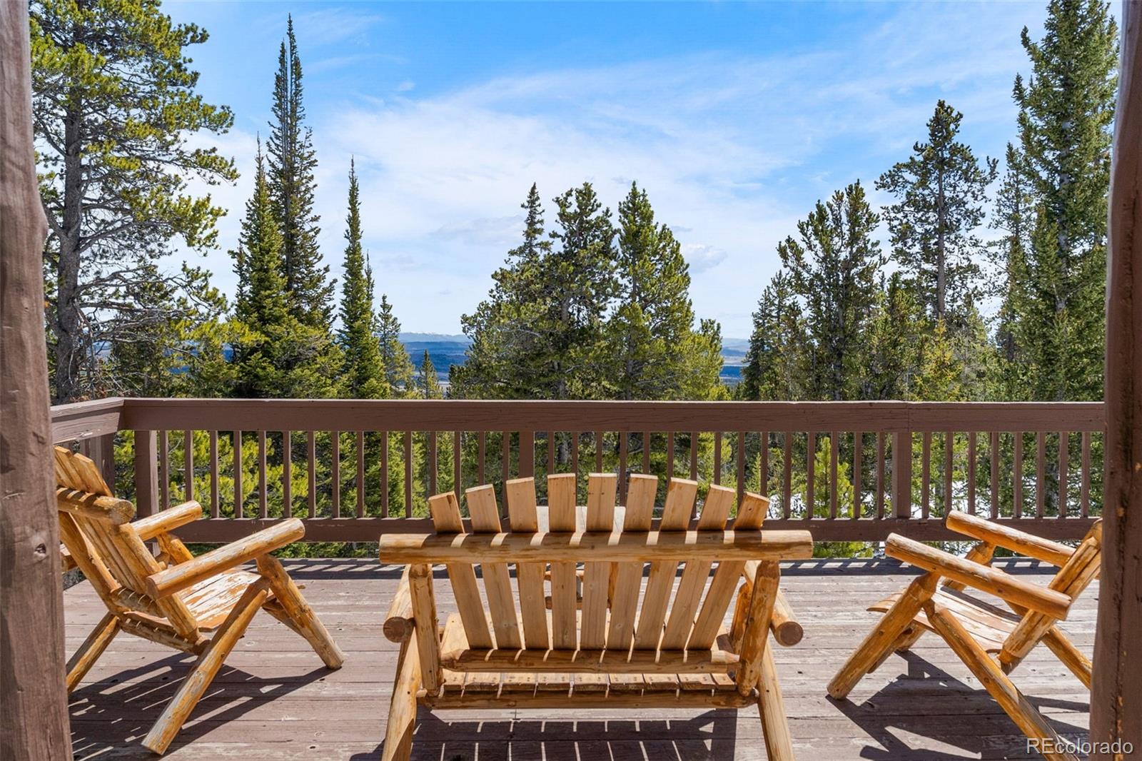 MLS Image #12 for 1606  bobcat lane,fairplay, Colorado