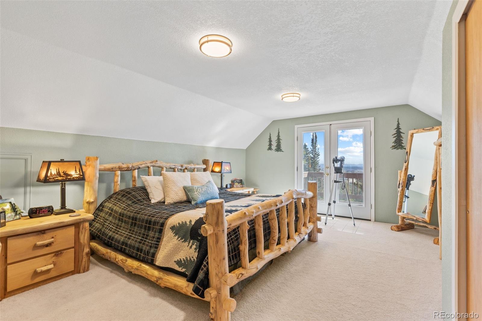MLS Image #14 for 1606  bobcat lane,fairplay, Colorado