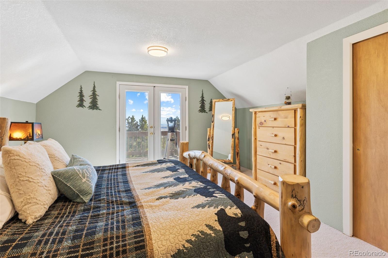MLS Image #15 for 1606  bobcat lane,fairplay, Colorado