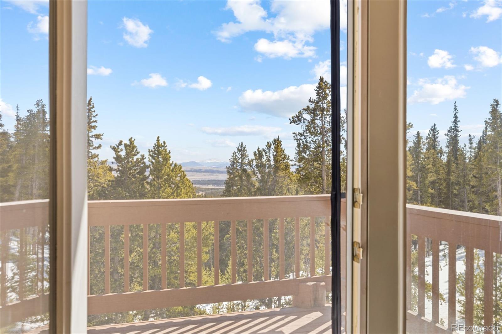 MLS Image #16 for 1606  bobcat lane,fairplay, Colorado