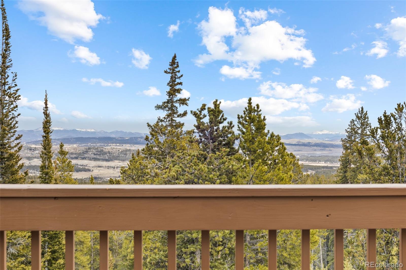 MLS Image #17 for 1606  bobcat lane,fairplay, Colorado