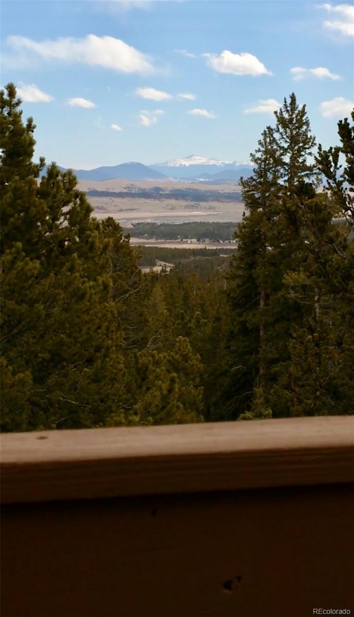 MLS Image #18 for 1606  bobcat lane,fairplay, Colorado
