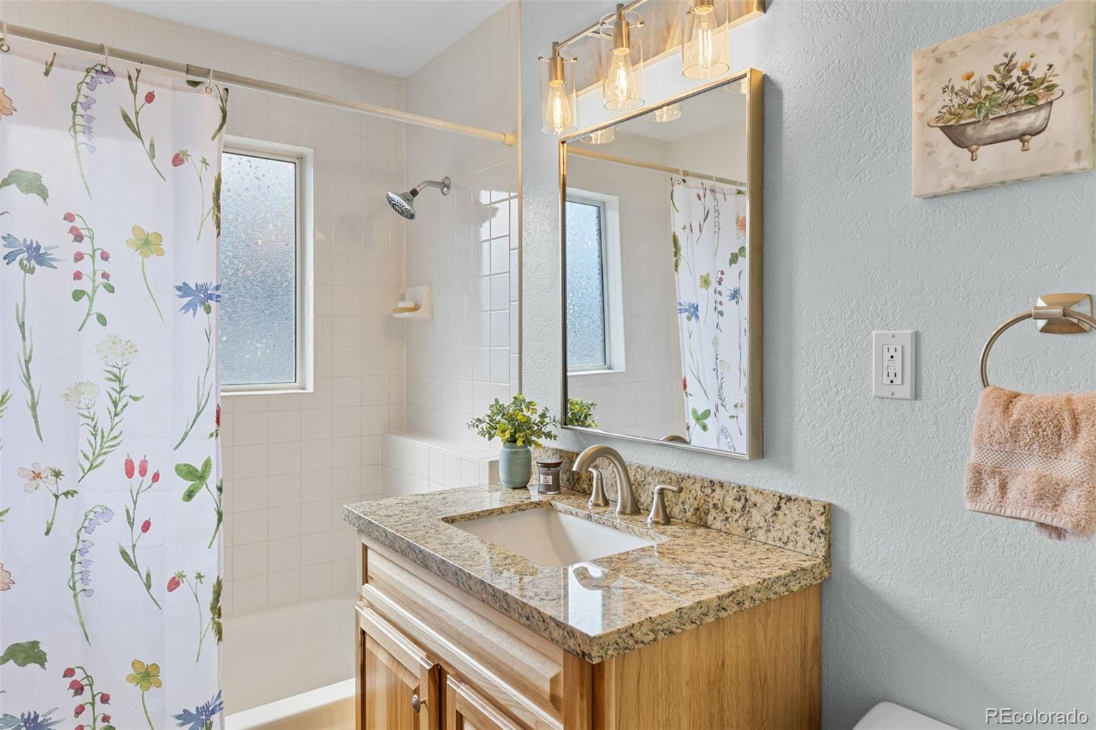MLS Image #20 for 1606  bobcat lane,fairplay, Colorado