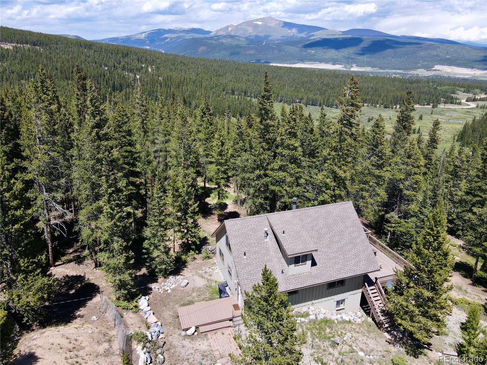 MLS Image #21 for 1606  bobcat lane,fairplay, Colorado