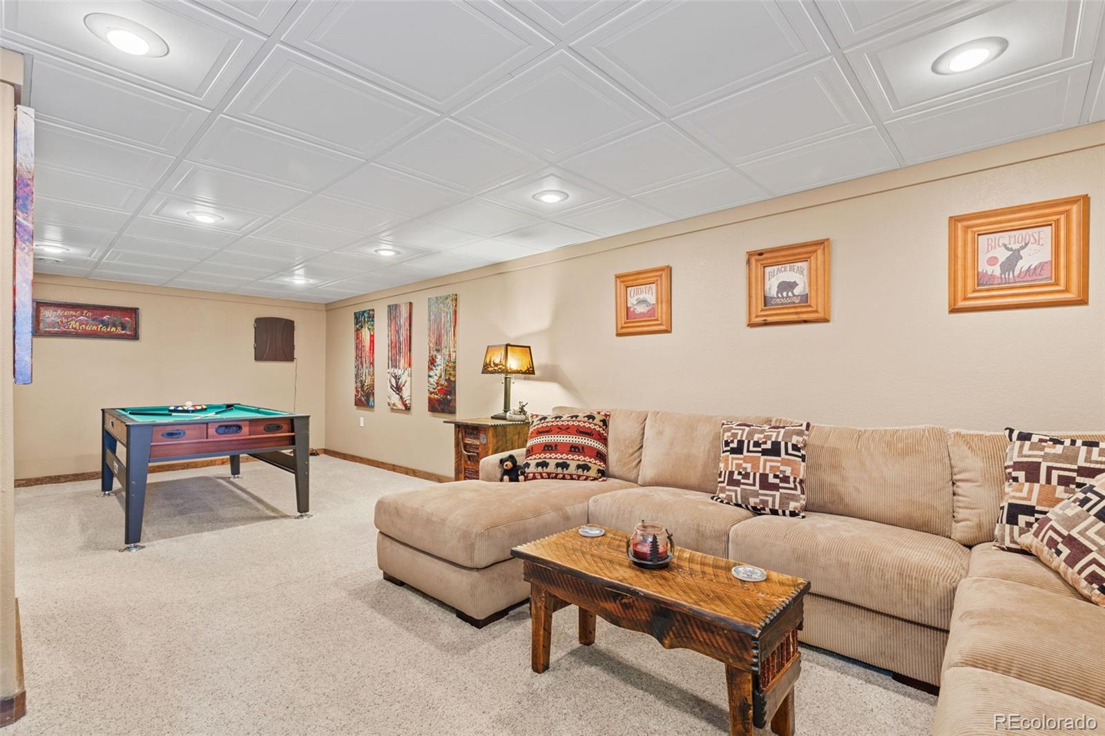 MLS Image #23 for 1606  bobcat lane,fairplay, Colorado