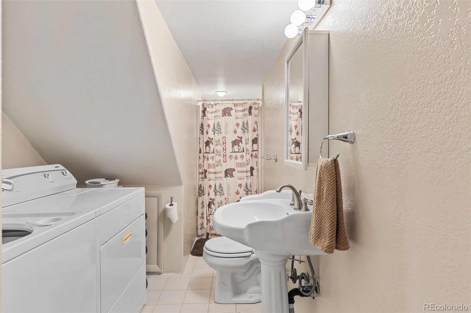 MLS Image #27 for 1606  bobcat lane,fairplay, Colorado