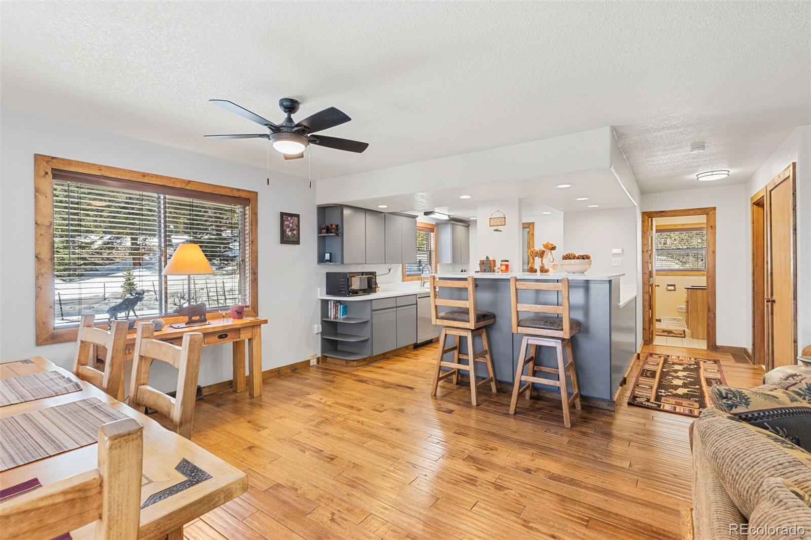 MLS Image #3 for 1606  bobcat lane,fairplay, Colorado
