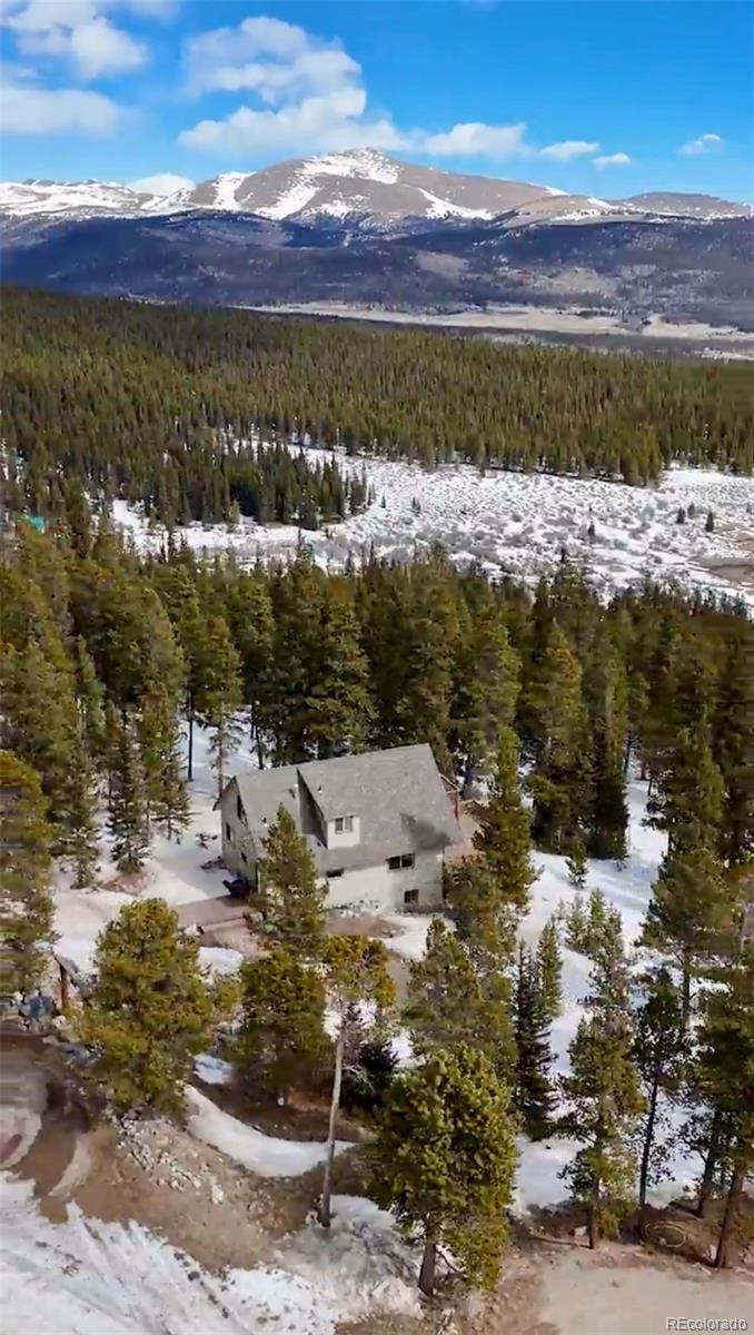 MLS Image #35 for 1606  bobcat lane,fairplay, Colorado