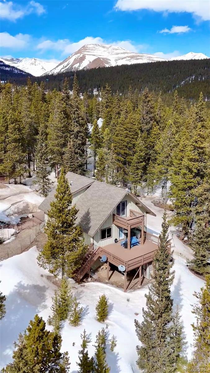 MLS Image #36 for 1606  bobcat lane,fairplay, Colorado