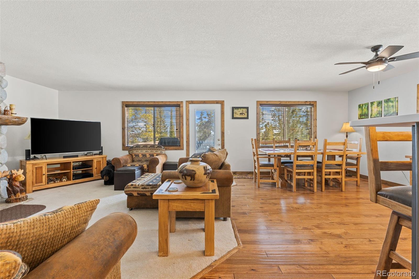 MLS Image #4 for 1606  bobcat lane,fairplay, Colorado