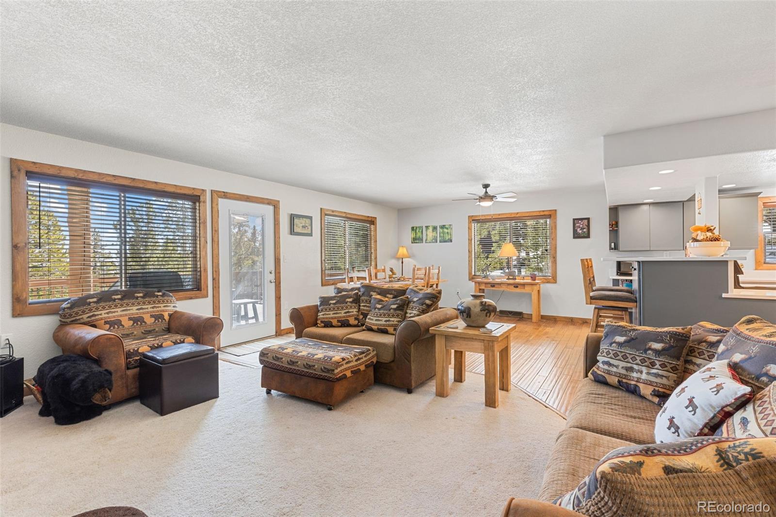 MLS Image #5 for 1606  bobcat lane,fairplay, Colorado