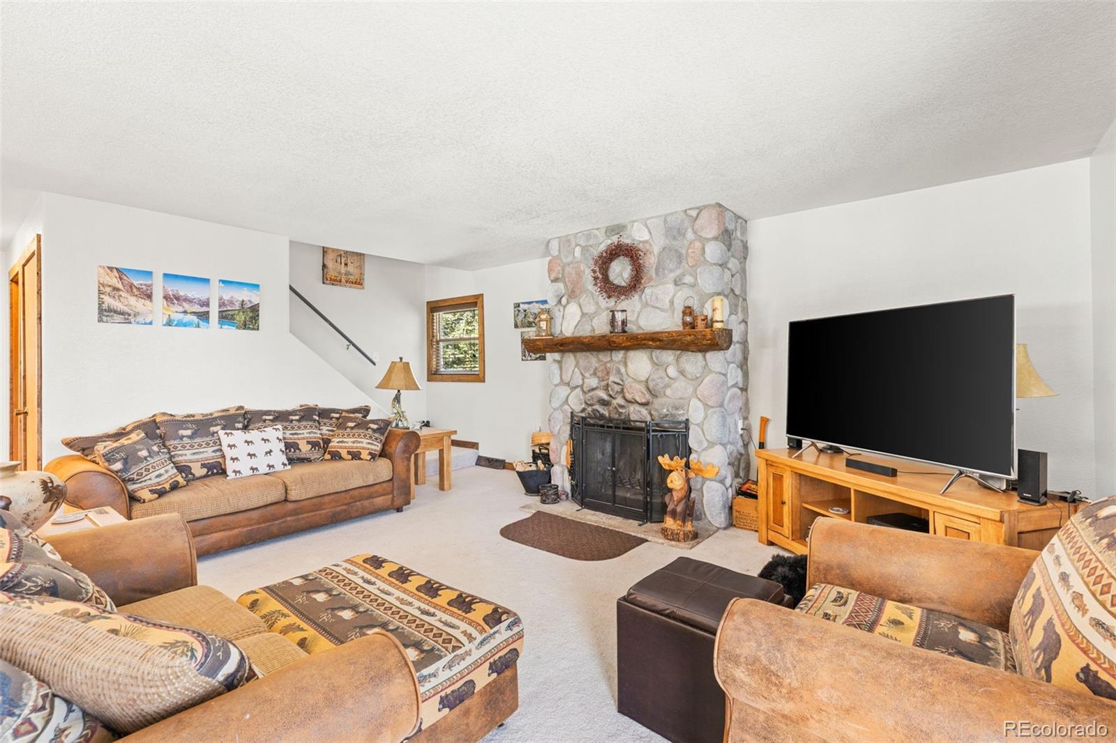 MLS Image #6 for 1606  bobcat lane,fairplay, Colorado