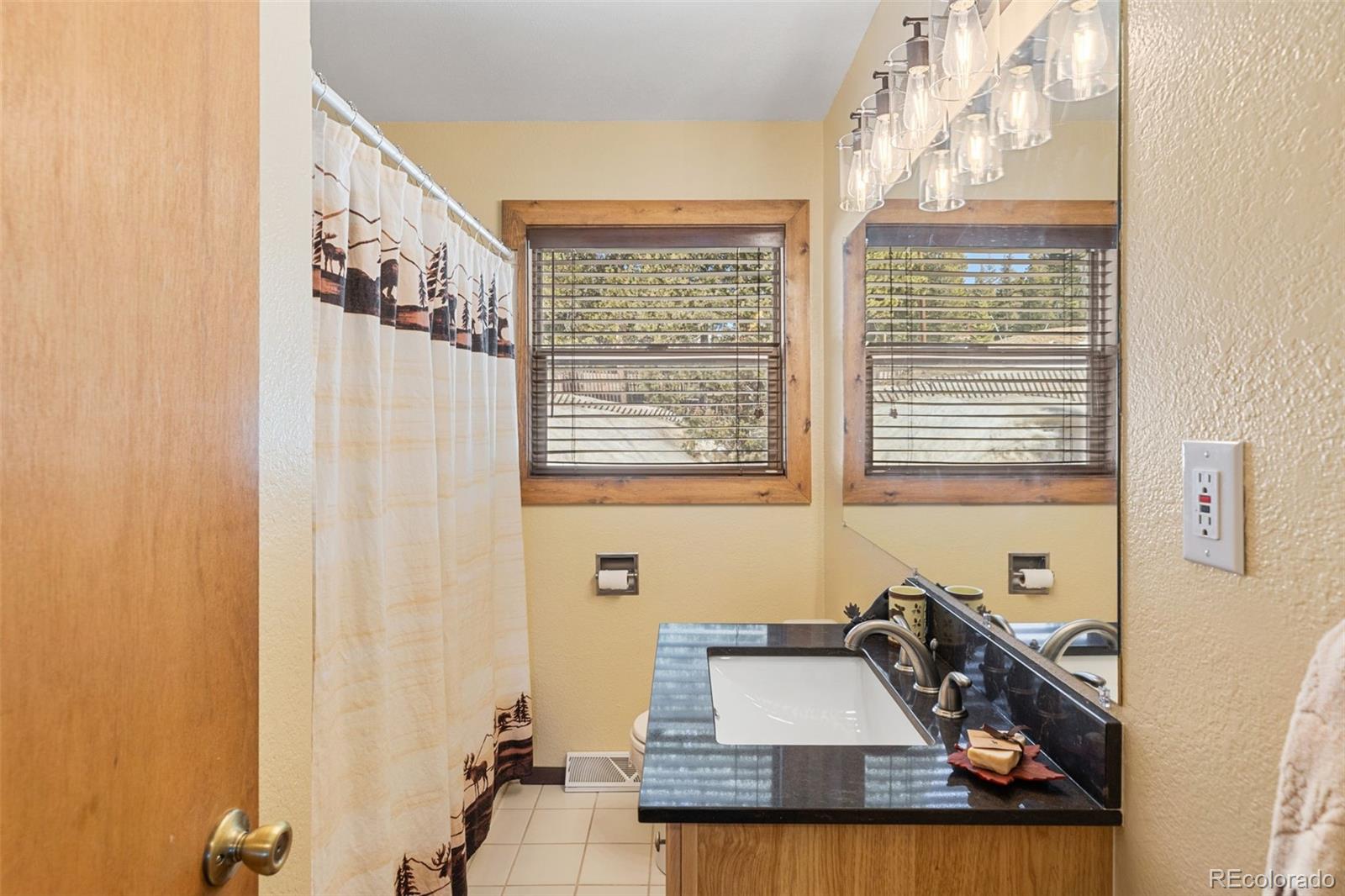 MLS Image #8 for 1606  bobcat lane,fairplay, Colorado