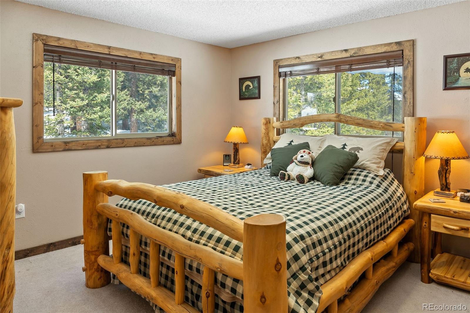 MLS Image #9 for 1606  bobcat lane,fairplay, Colorado