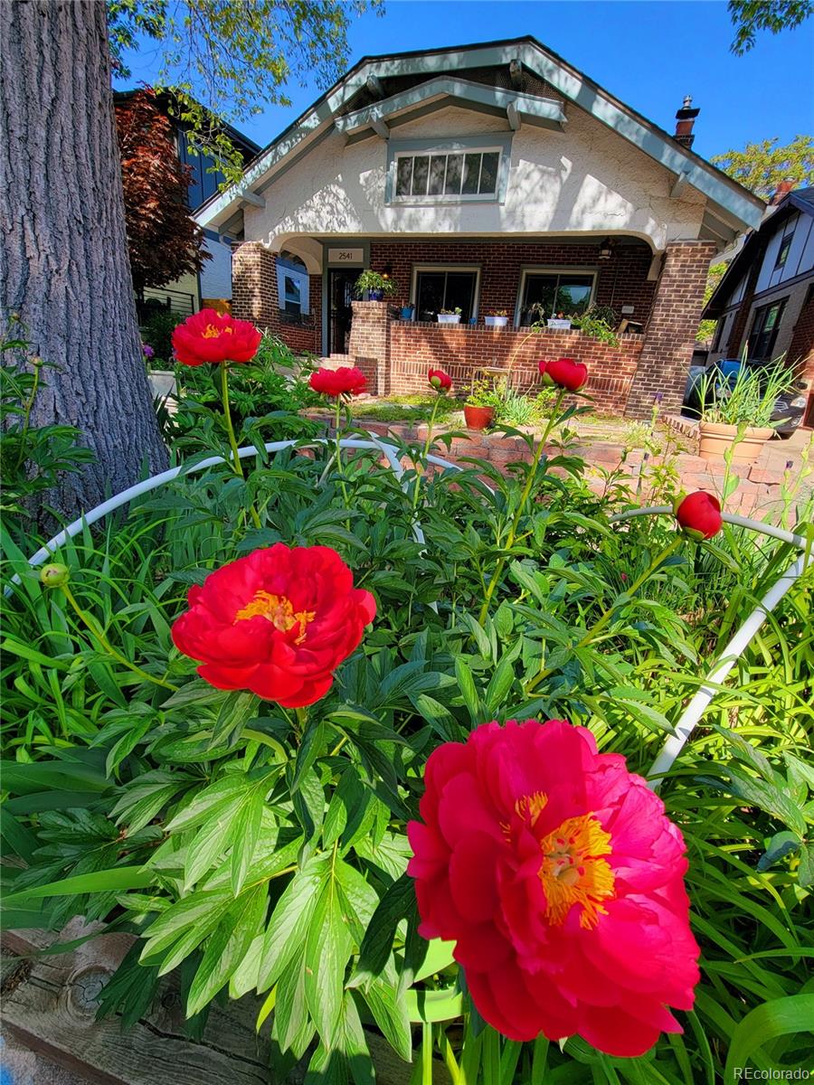 MLS Image #35 for 2541  cherry street,denver, Colorado