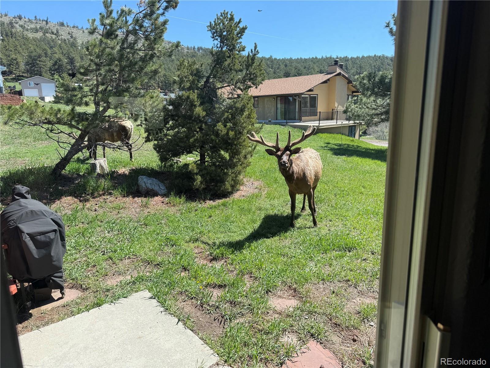 MLS Image #29 for 60  sylvia court,loveland, Colorado