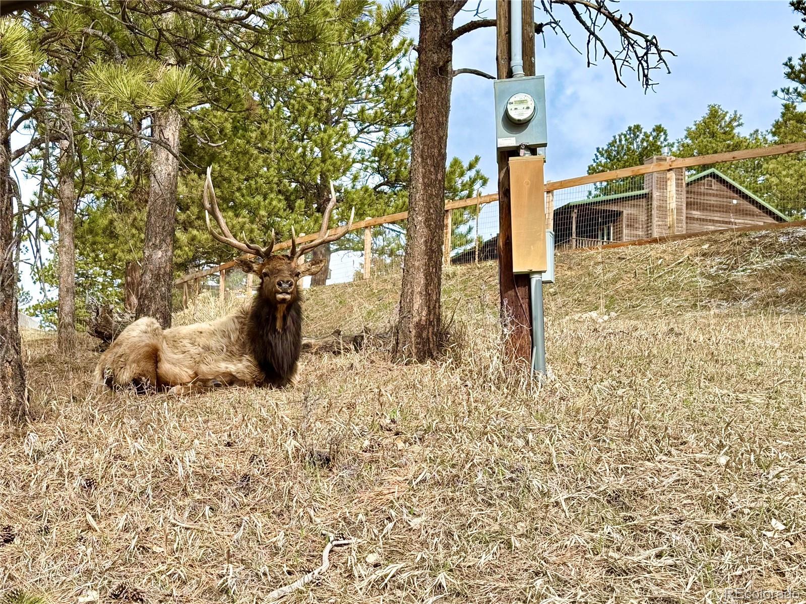 MLS Image #33 for 60  sylvia court,loveland, Colorado