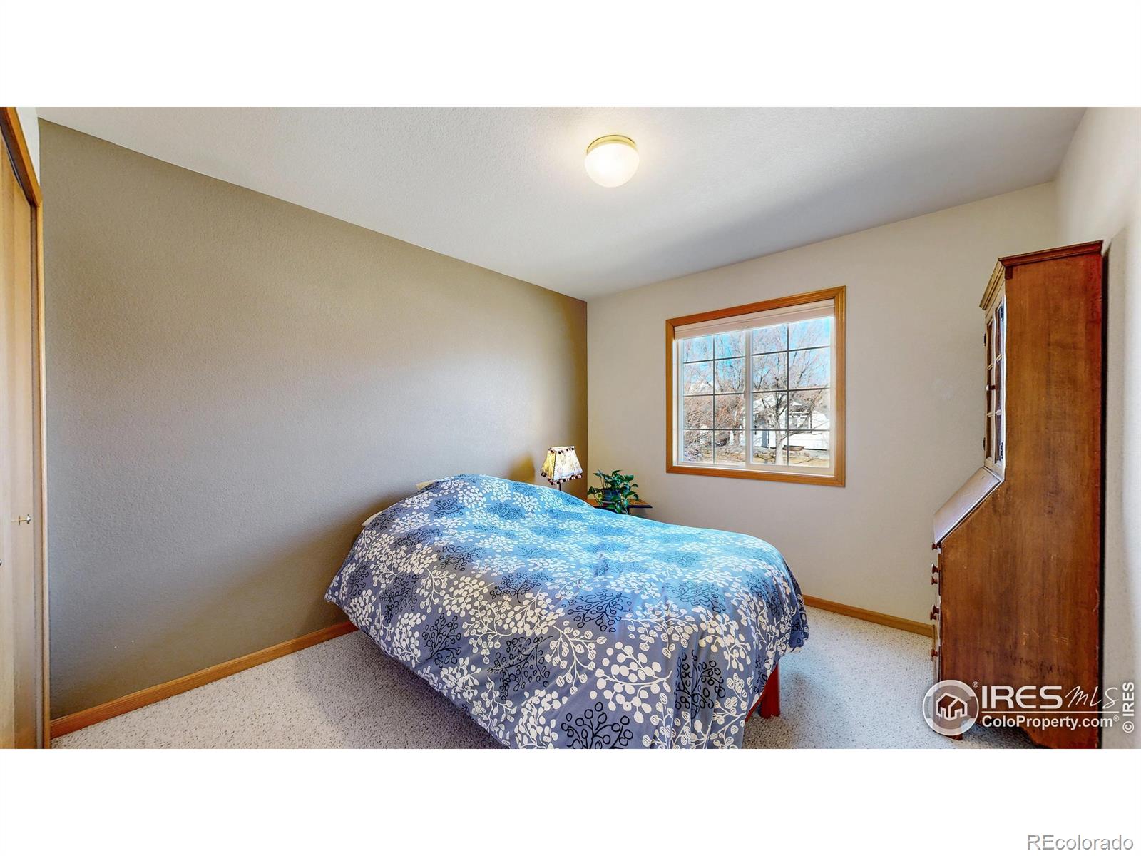 MLS Image #11 for 1121  jefferson drive,berthoud, Colorado