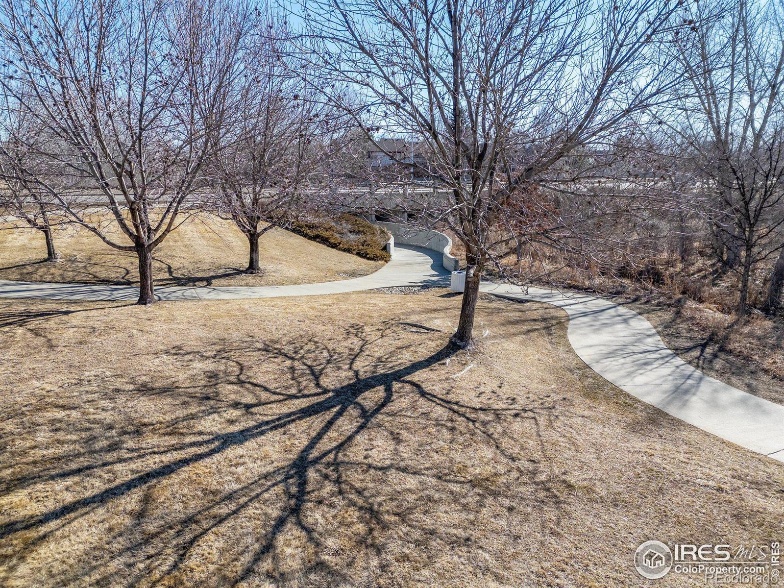 MLS Image #36 for 4007  sandcherry place,longmont, Colorado