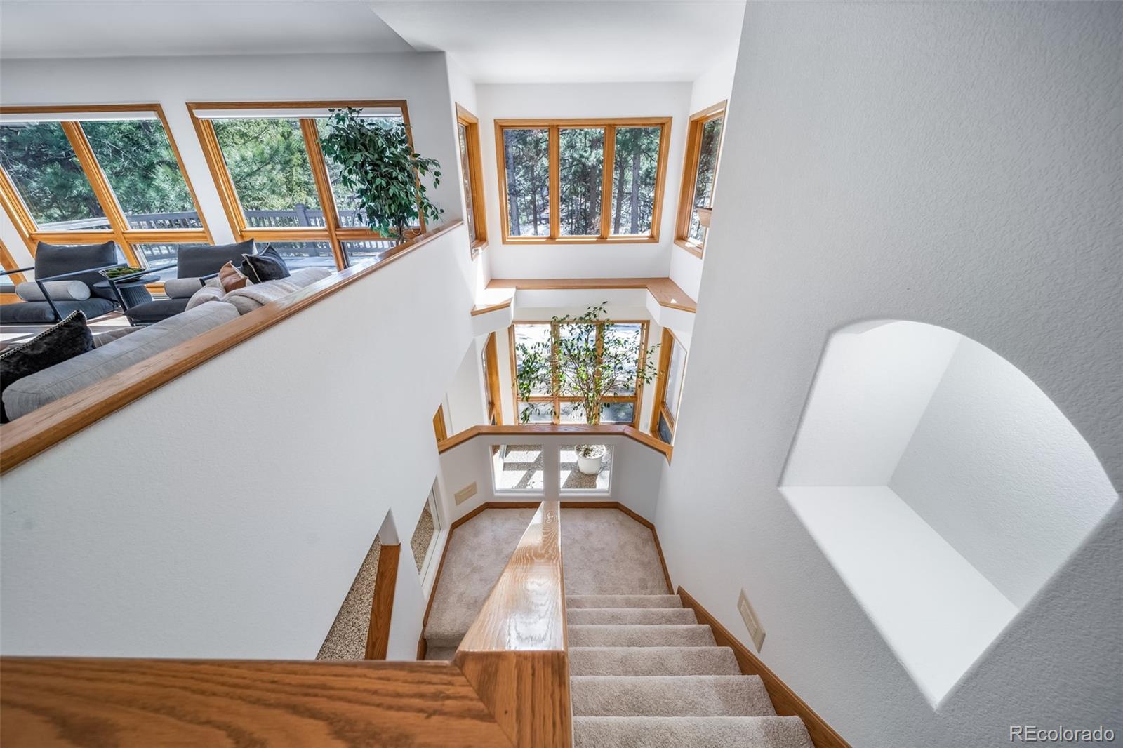 MLS Image #26 for 2049  silverheels drive,larkspur, Colorado