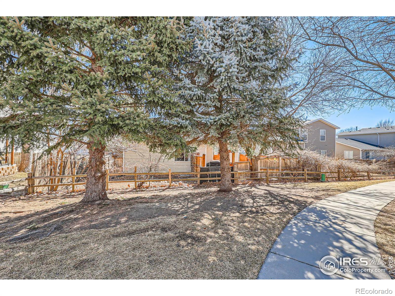 MLS Image #24 for 1215  monarch drive,longmont, Colorado