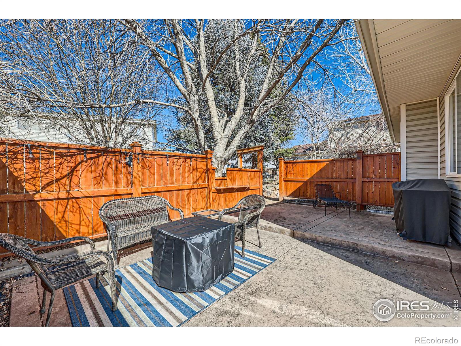 MLS Image #3 for 1215  monarch drive,longmont, Colorado