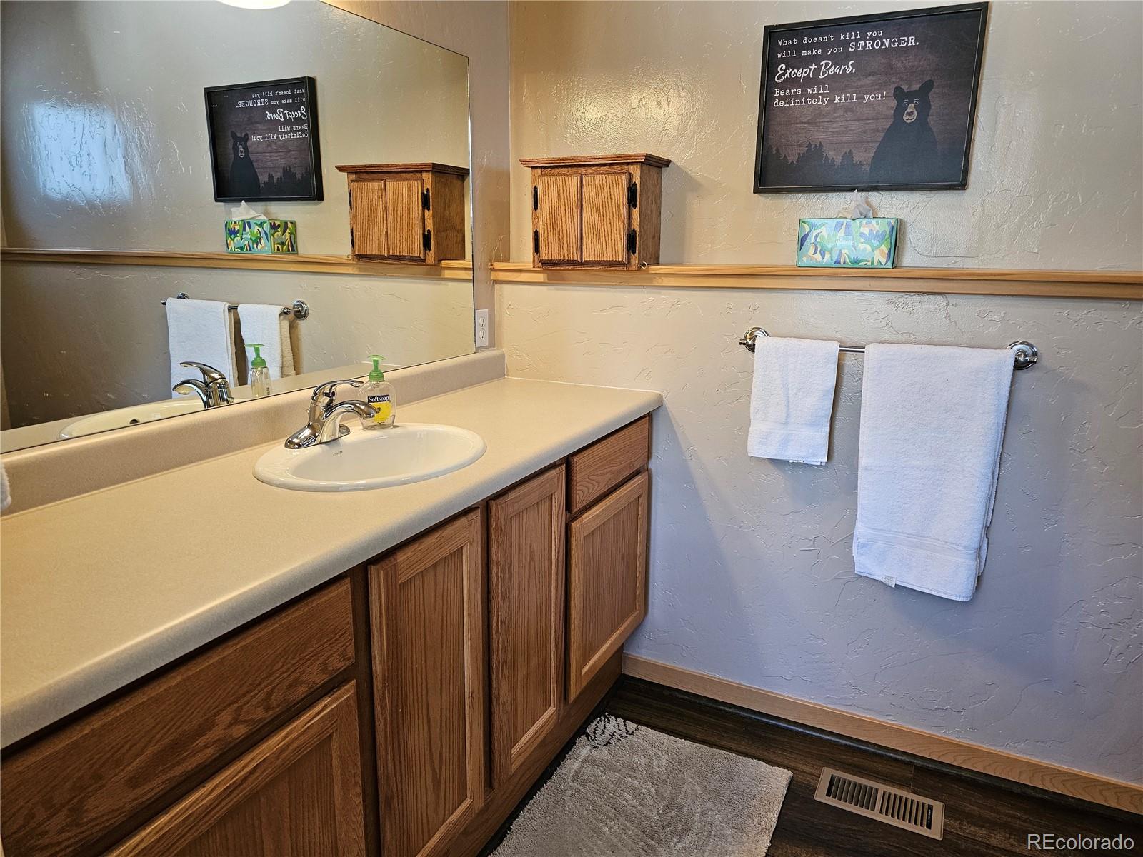 MLS Image #12 for 861  mink lane,fraser, Colorado