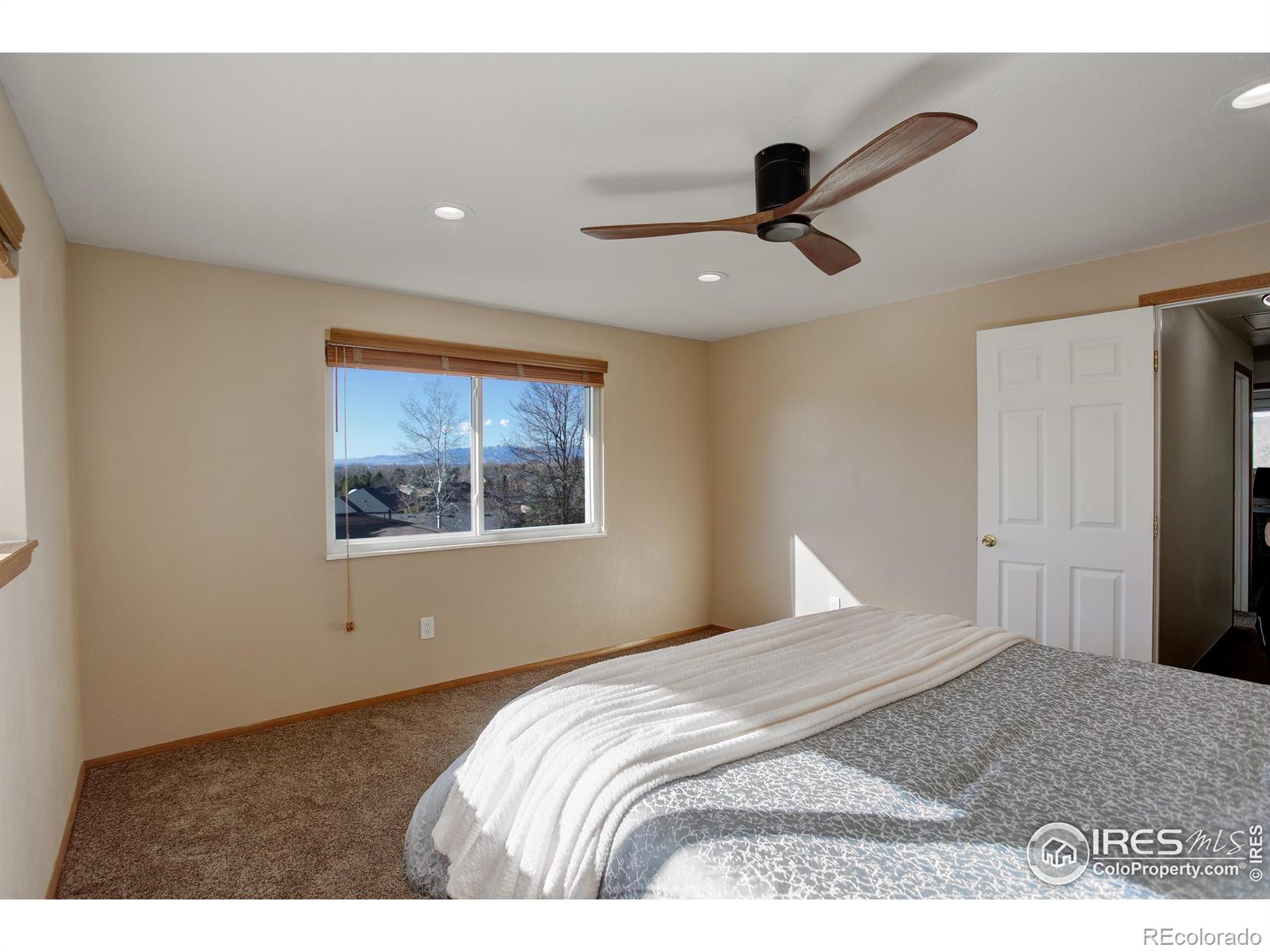 MLS Image #18 for 3549  columbia drive,longmont, Colorado