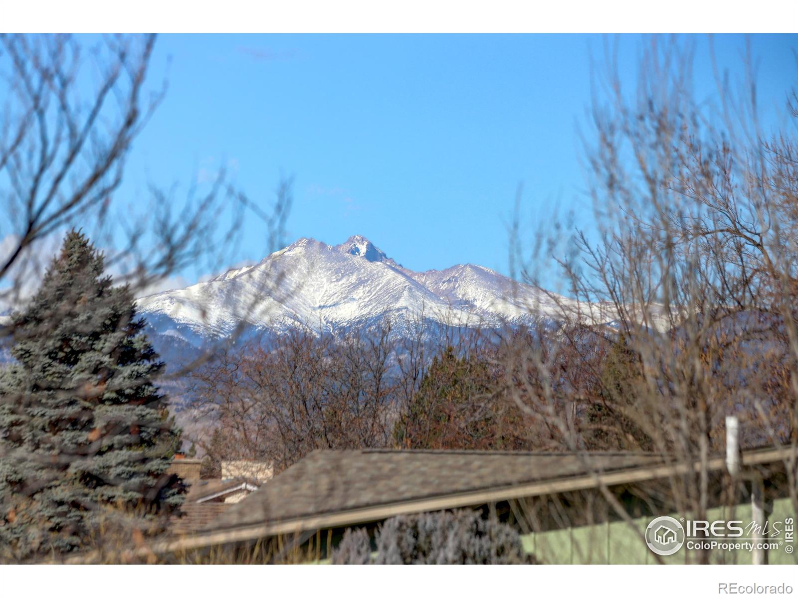 MLS Image #37 for 3549  columbia drive,longmont, Colorado