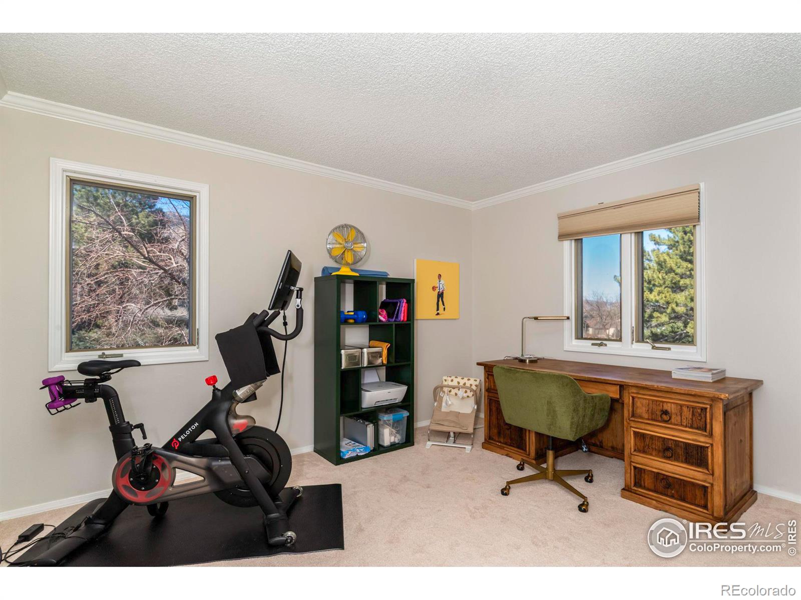 MLS Image #19 for 1740  bear mountain drive,boulder, Colorado