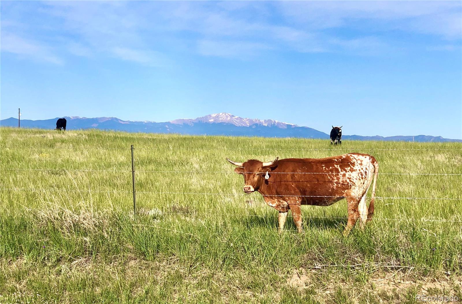 MLS Image #44 for 9690 n log road,calhan, Colorado