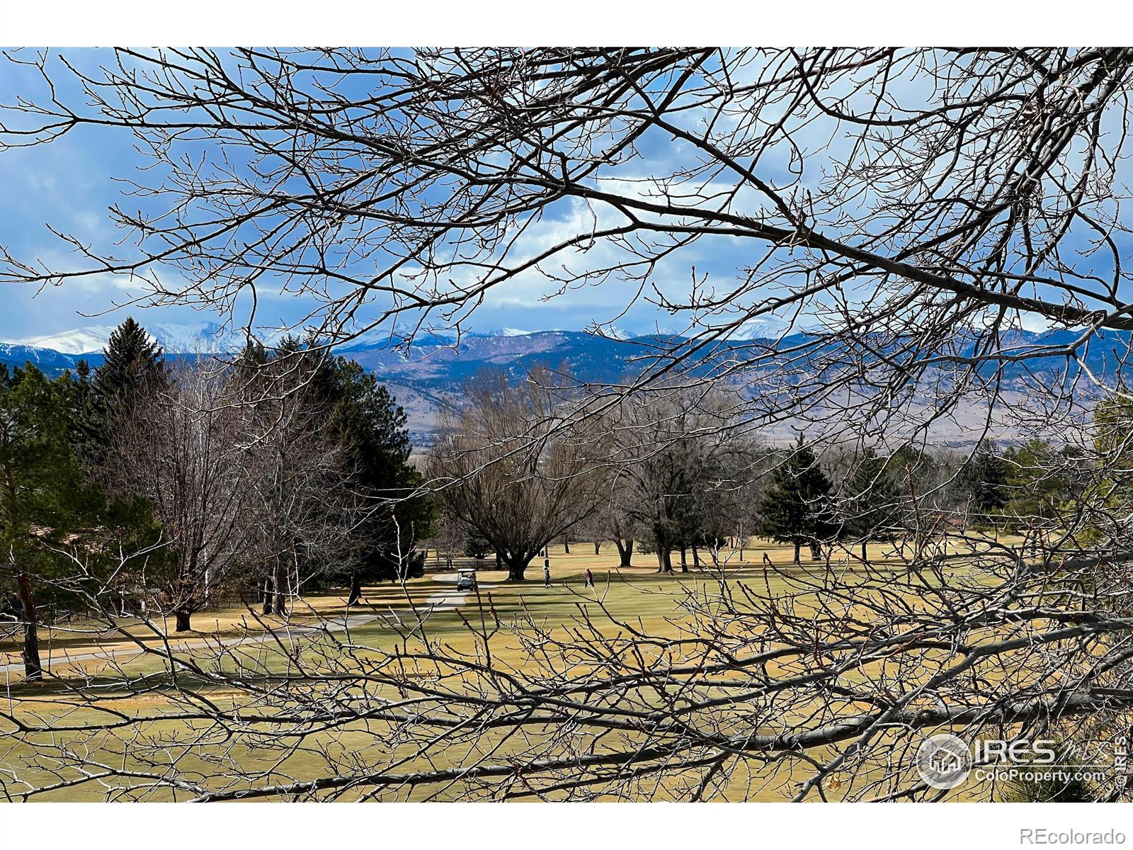 MLS Image #6 for 4803  briar ridge court,boulder, Colorado