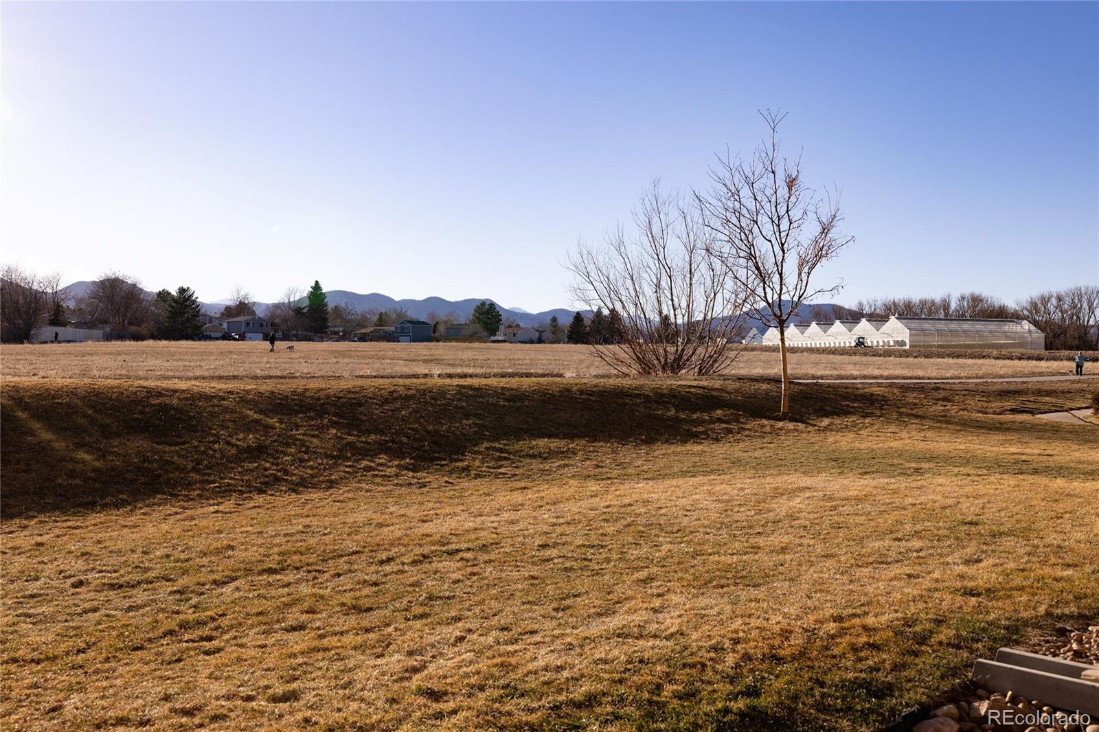 MLS Image #11 for 4899 s dudley street,littleton, Colorado