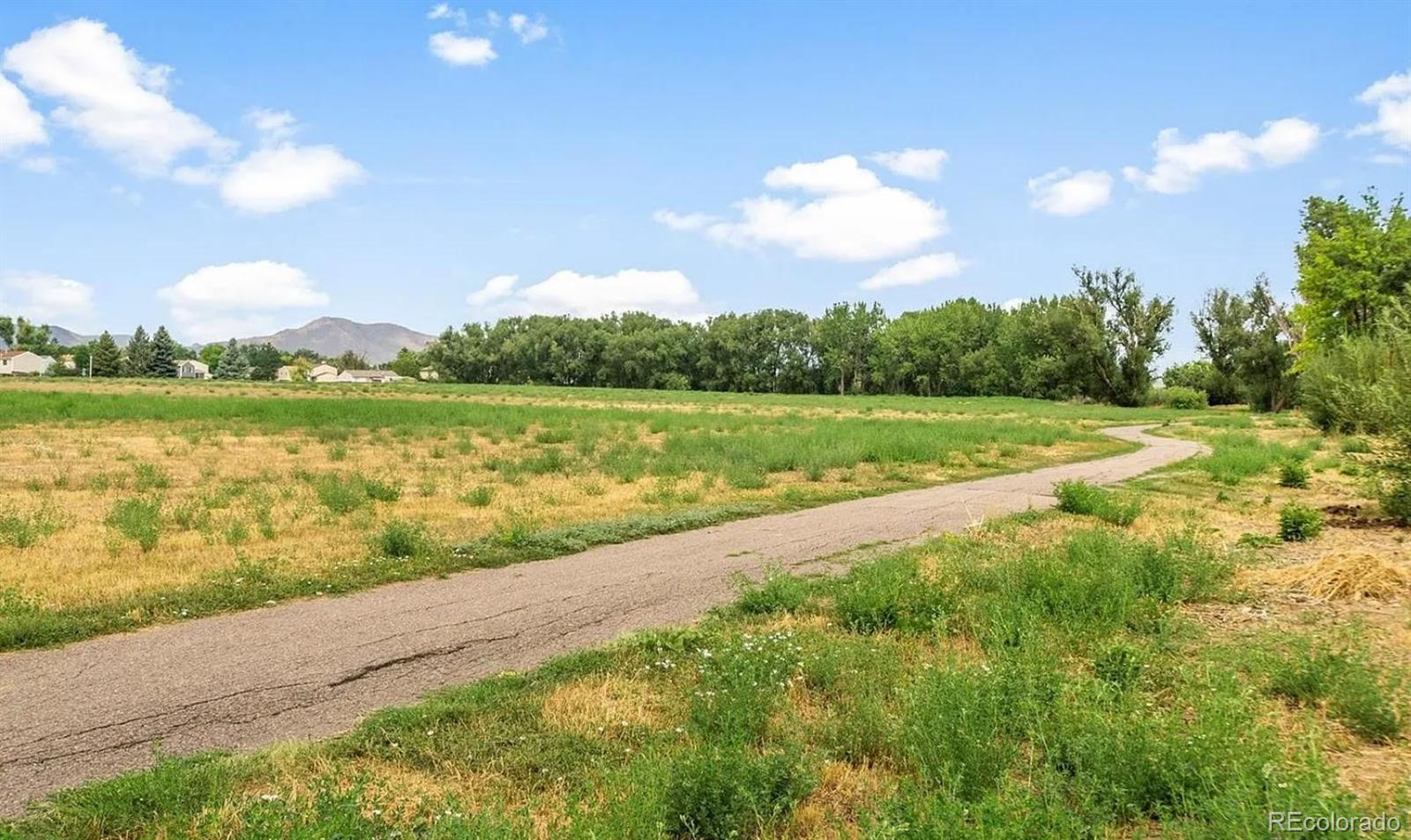 MLS Image #9 for 4899 s dudley street,littleton, Colorado