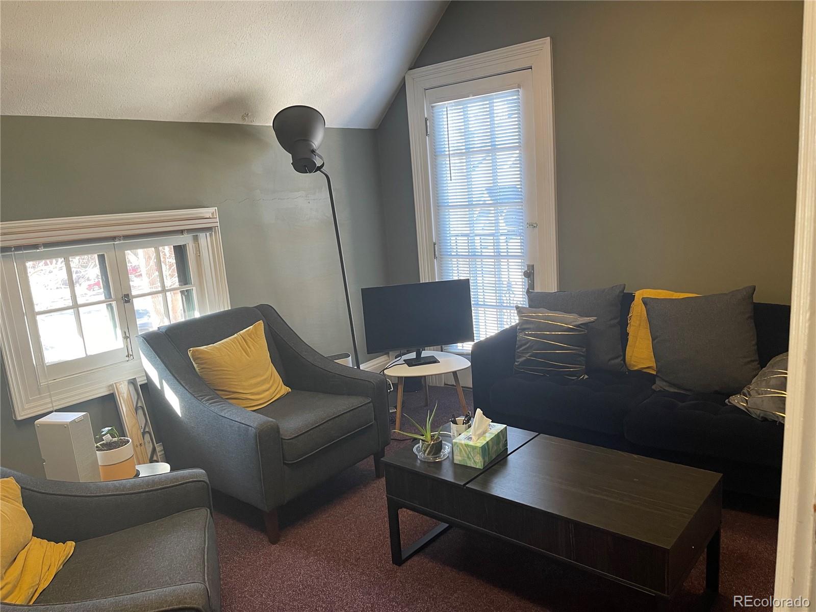 MLS Image #27 for 1625 n downing street,denver, Colorado