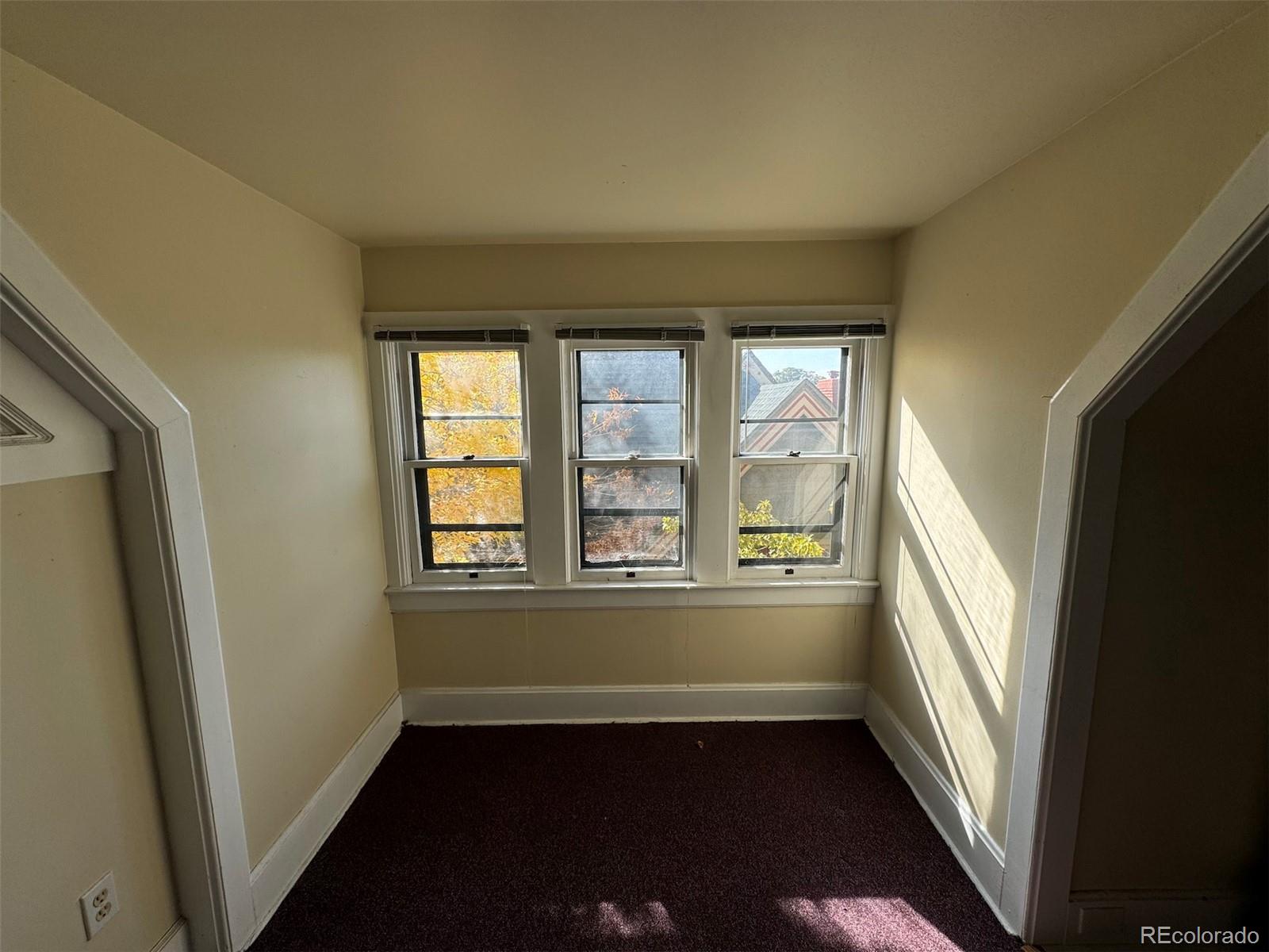 MLS Image #32 for 1625 n downing street,denver, Colorado